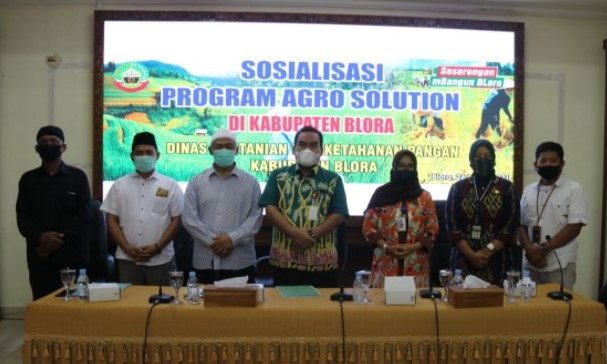 program Agro Solution