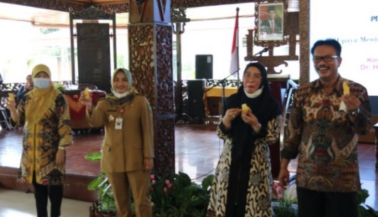 Gerakan Masyarakat Hidup Sehat (Germas)