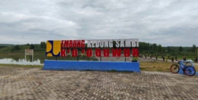 1000 bibit pohon kelapa, di Embung Kesambi