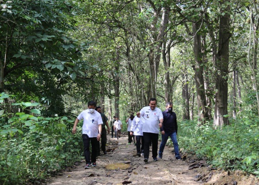 Bupati Blora H. Arief Rohman, S.IP, M.Si bersama Direktur Utama (Dirut) Perum Perhutani, Wahyu Kuncoro berkesempatan mengunjungi kawasan Wana Wisata Hutan Alam Jati 'Gubug Payung' yang berada pada kawasan hutan jati KPH Cepu di Kecamatan Sambong, pada Rabu (16/6/2021).