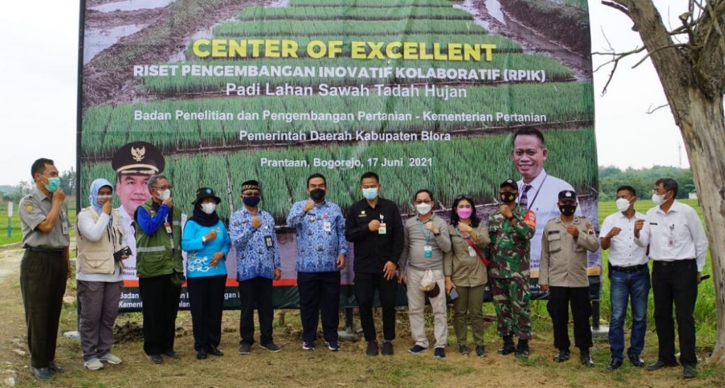 Bupati H. Arief Rohman, S. IP, M. Si, dan Kepala Dinas Pertanian, Ir. Reni Miharti, M. Agr. Bus bersama rombongan Kepala Badan Penelitian dan Pengembangan Pertanian (Balitbangtan), Kementerian Pertanian RI, Dr. Ir. Fadjry Djufry, M. Si, meninjau langsung lahan sawah tadah hujan yang menjadi pilot project Riset Pengembangan Inovatif Kolaboratif (RPIK) di Desa Prantaan, Kecamatan Bogorejo.