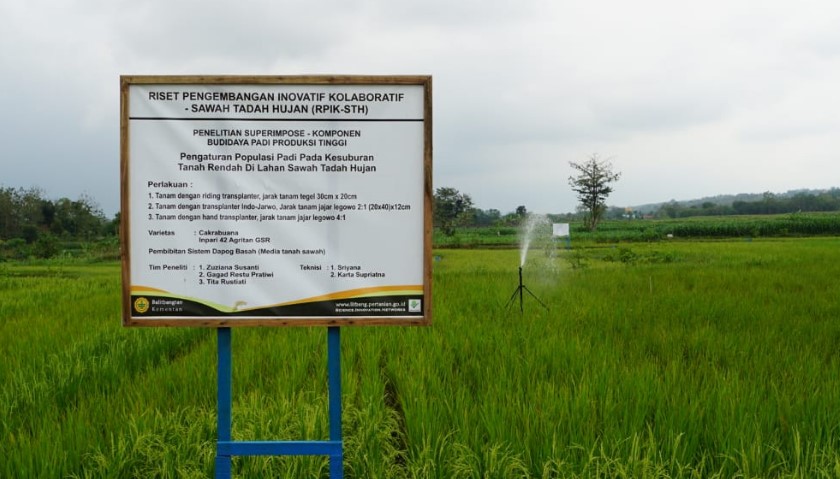 DEMPLOT PENANGKARAN BENIH RISET PENGEMBANGAN INOVATIF ( RPIK ) PADI TADAH HUJAN DI DESA PRANTAAN KECAMATAN BOGOREJO KABUPATEN BLORA