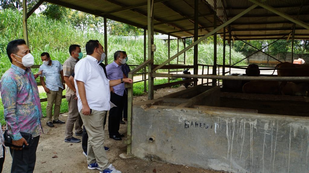 Bupati Arief Rohman didampingi Prof. Ali Agus, Guru Besar Peternakan UGM Yogyakarta saat belajar pengelolaan peternakan terpadu di PT. Pasir Tengah milik Tumiyana Widodo Makmur Group, di Cianjur, Jawa Barat, Minggu (24/10/2021).