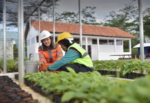 Semen Gresik Berhasil Tekan Emisi Karbon Blora dan Rembang.