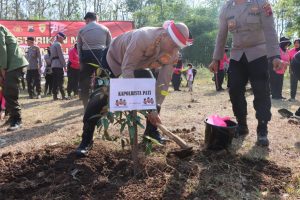 Kapolresta Pati Kombes Pol Andhika Bayu Adhittama saar menanam pohon di kawasan hutan Tlogowungu petak 121 RPH Desa Regaloh Kecamatan Tlogowungu Kabupaten Pati, Rabu (23/08/2023).