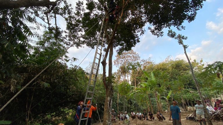 Tim Sar Gabungan saat mengevakuasi Mbah Sarwan diketinggian 10 meter, mencari daun ranting untuk pakan ternak, Senin (28/8).