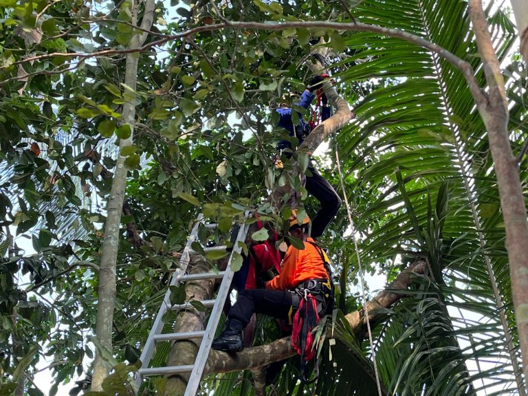 Tim Sar gabungan evakuasi kakek yang tersangkut dipohon jengkol, Rabu (6/9).