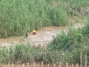 Tim Sar melakukan pencarian korban di Sungai Kalirambut, Tegal, Sabtu (13/1/2024).