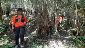 Tim Sar gabungan saat mencari nenek Kasta di kebun salak, Kamis (1/2/2024).