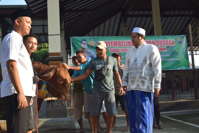 Idul Adha, Polres Demak Sembelih 5 Ekor Sapi dan 3 Ekor Kambing